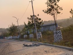 Development of Green Belt at road side