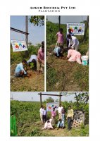 PLANTATION  1-11-2021