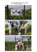 PLANTATION  1-11-2021